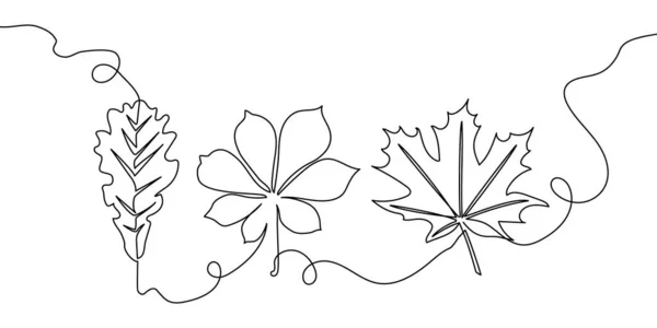 Deja un conjunto de dibujo de línea continua. Arte de una línea de hojas de árbol, hierba, plantas, castaño, arce, roble. — Vector de stock