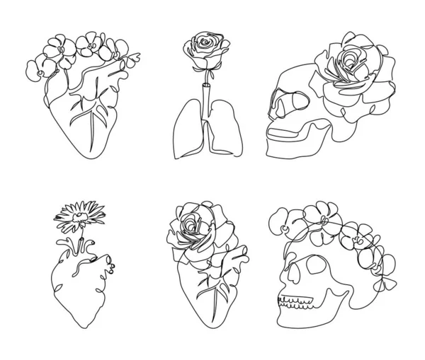 Órgãos internos humanos com flores uma linha set art. Desenho de linha contínua de pulmões cardíacos, crânio e flor. — Vetor de Stock
