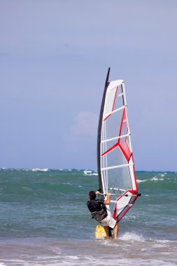 Rüzgar Sörfü (spor)