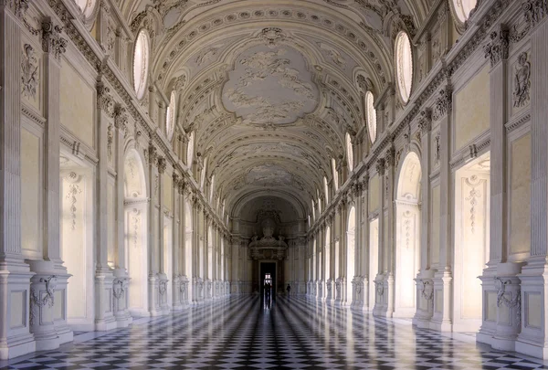 Manőverek Venaria királyi palota (Torino - Italy) Jogdíjmentes Stock Képek