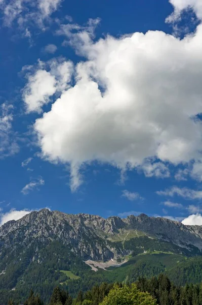 威尔德 德皇或野生德皇 多云的天空 蒂罗尔 奥地利 — 图库照片