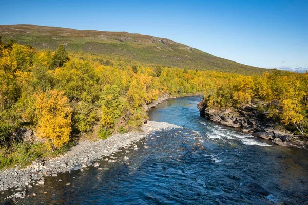 Rzeka Abiokk Jesiennym Krajobrazie Park Narodowy Abisko Norrbotten Laponia Szwecja — Zdjęcie stockowe