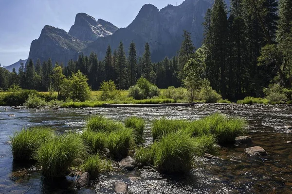 Merced River Cathedral Rocks Yosemite Valley Yosemite National Park Usa — Stock Photo, Image