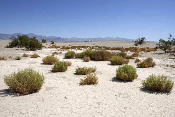 Плоскі Піщані Дюни Національний Парк Долини Смерті Пустеля Моджаве Каліфорнія — стокове фото