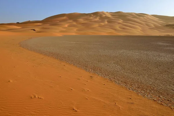 Sand Dunes Oued Djerane Tassili Ajjer National Park Unesco World — Stock Photo, Image