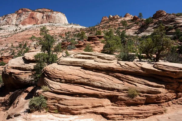 Sandsteinfelsformationen Canyon Overlook Trail East Temple Hinten Links Zion National — Stockfoto