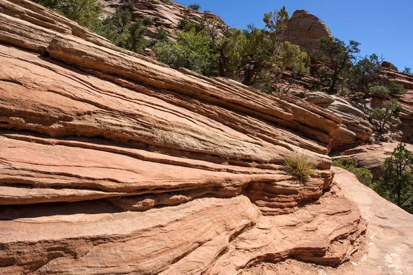 Formazioni Rocciose Arenaria Canyon Overlook Trail Zion National Park Utah — Foto Stock