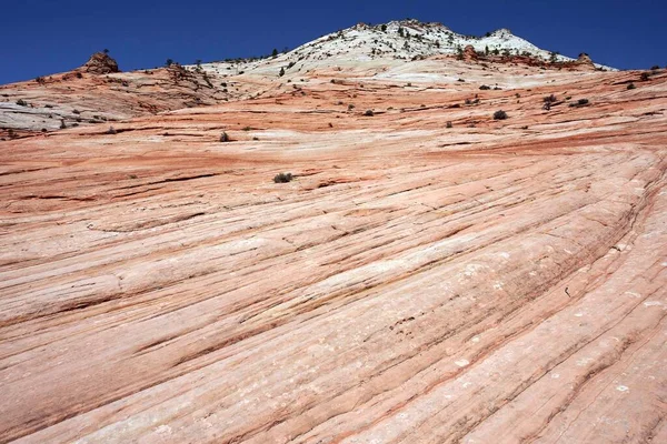 Sandstensformationer Vid Clear Creek Zion National Park Utah Usa Nordamerika — Stockfoto