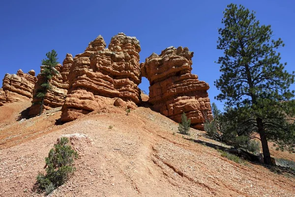 Rotsformaties Ontstaan Door Erosie Red Canyon Utah Usa Noord Amerika — Stockfoto