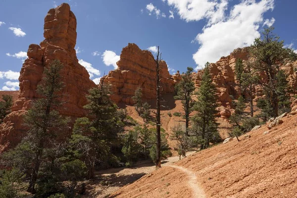 Formaciones Rocosas Creadas Por Erosión Sendero Trekking Cañón Rojo Utah —  Fotos de Stock