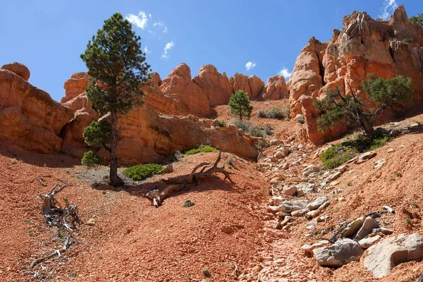 Formaciones Rocosas Creadas Por Erosión Cañón Rojo Utah América Del —  Fotos de Stock