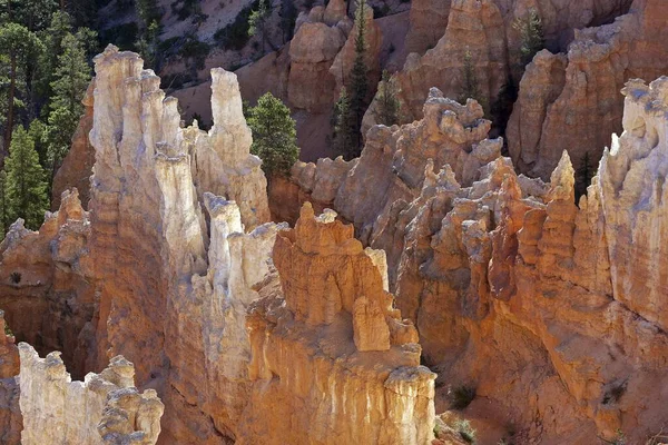 Utsikt Över Färgade Klippformationer Fairy Skorstenar Morgonljus Bryce Canyon National — Stockfoto