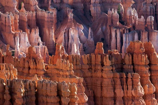 Utsikt Över Färgade Klippformationer Fairy Skorstenar Morgonljus Bryce Canyon National — Stockfoto