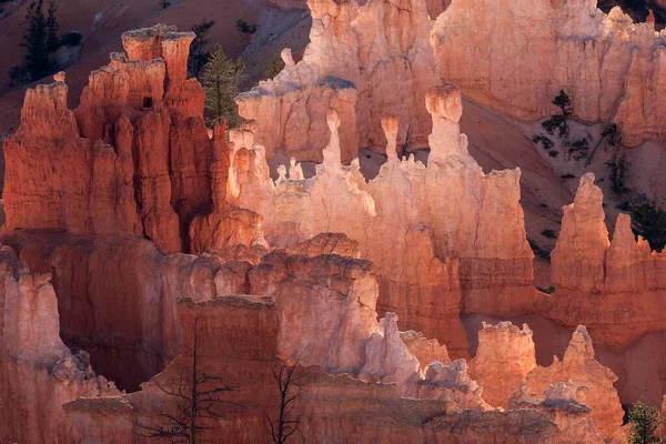 View Coloured Rock Formations Fairy Chimneys Morning Light Bryce Canyon — Stock Photo, Image