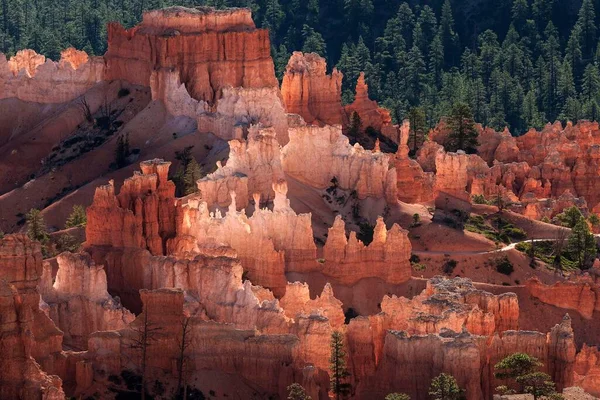 View of coloured rock formations, fairy chimneys, morning light, Bryce Canyon National Park, Utah, USA, North America