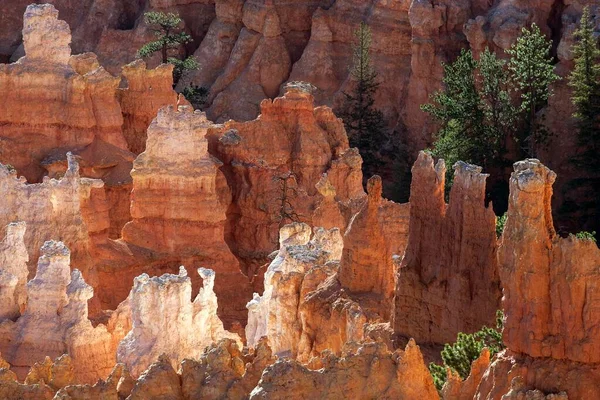 Utsikt Över Färgade Klippformationer Fairy Skorstenar Morgonljus Bryce Canyon National — Stockfoto