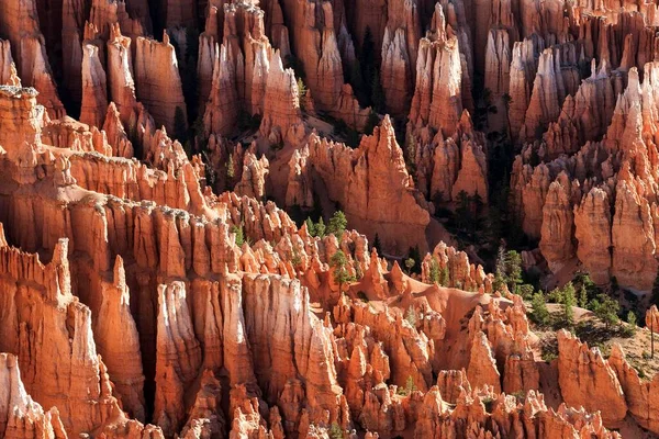 Bryce Amphithere Amphithere Inspiration Point Coloring Rock Organizes Fairy Jagneys — 스톡 사진
