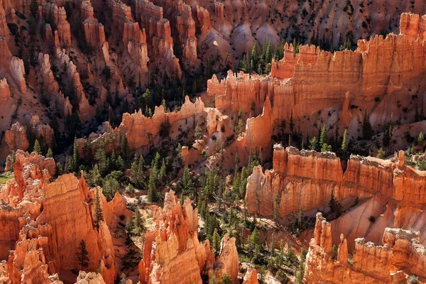 Vista Formações Rochosas Coloridas Chaminés Fadas Luz Manhã Bryce Canyon — Fotografia de Stock