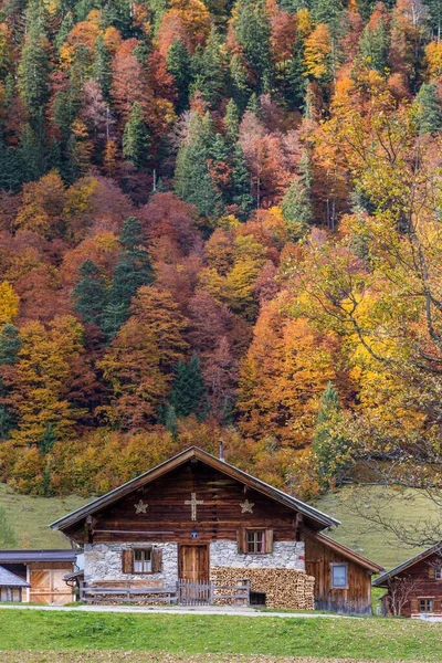 Berghütte Vor Herbstwald Eng Alm Hinterriss Karwendel Tirol Österreich Europa — Stockfoto