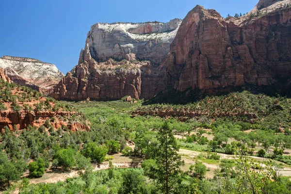 Utsikt Mot Zion Canyon Och North Fork Virgin River Emerald — Stockfoto