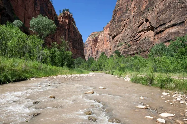 North Fork Virgin River Riverside Walk Svislé Útesy Sion Canyon — Stock fotografie