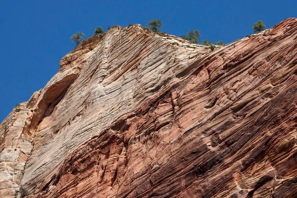 Sandsteinklippen Zion National Park Utah Usa Nordamerika — Stockfoto