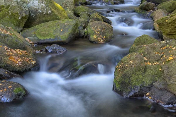 ヴィドラ川 苔で覆われた石 スマヴァ国立公園 ボヘミア チェコ共和国 ヨーロッパ — ストック写真