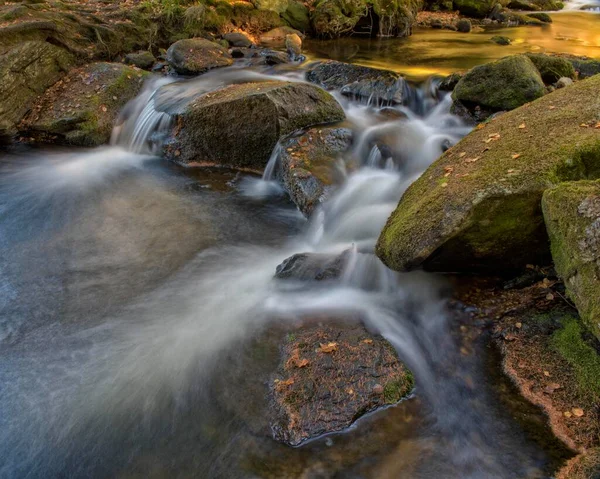 Fluss Vydra Moosbewachsene Steine Nationalpark Sumava Böhmen Tschechien Europa — Stockfoto