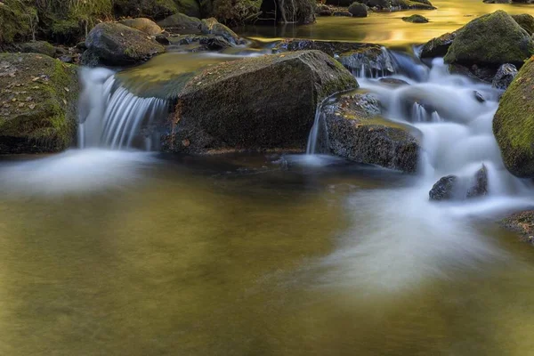 Floden Vydra Mossbeklädda Stenar Sumava Nationalpark Böhmen Tjeckien Europa — Stockfoto