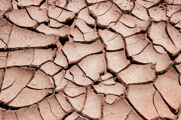 Dry Clay Surface Dry Cracks Ground Capitol Reef National Park — Stock Photo, Image