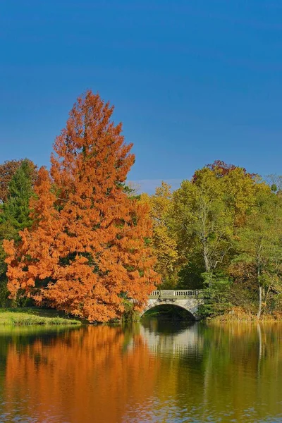 Outono Parque Wrlitzer Património Mundial Unesco Jardim Reino Dessau Wrlitz — Fotografia de Stock