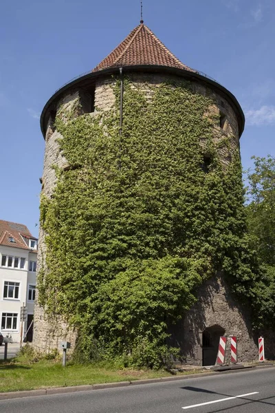 Bucksturm Fortified Defense Tower Osnabrck Lower Saxony Deutschlnad — 图库照片