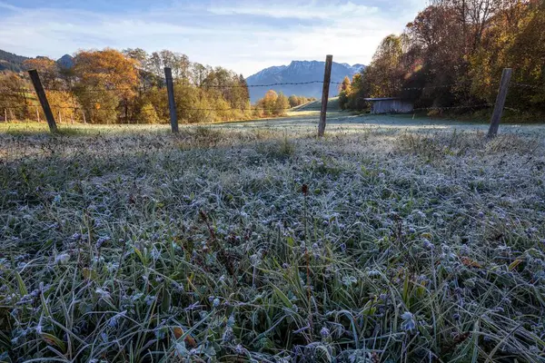 Frost Hoar Manhã Prado Clima Outono Liebenstein Perto Bad Hindelang — Fotografia de Stock