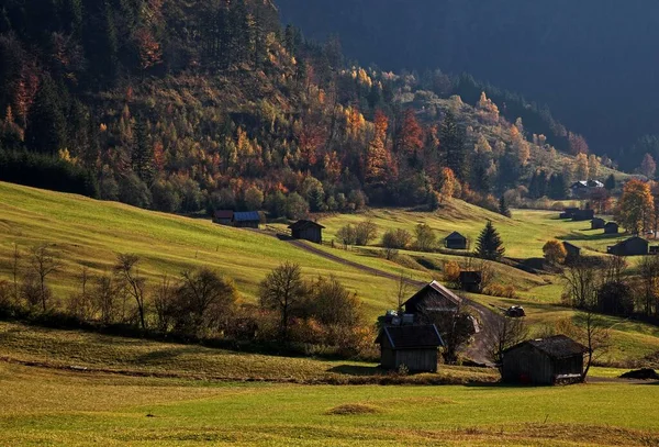 秋天的色彩 德国巴伐利亚奥尔古 布洛克附近的赫斯特纳山谷的树木 秋天的心情 — 图库照片