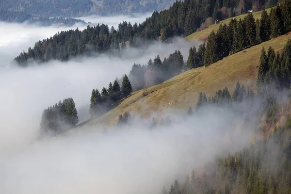 Ostrach Valley Bad Hindelang Allgu バイエルン州 ドイツ ヨーロッパの上の霧 — ストック写真