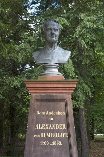 Büste Zum Gedenken Alexander Von Humboldt Stadtpark Grlitz Oberlausitz Sachsen — Stockfoto