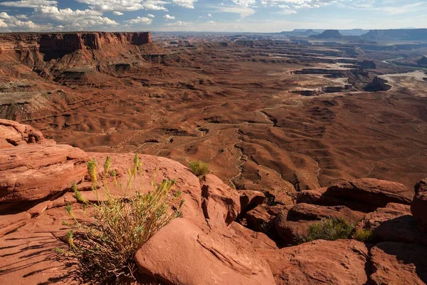 View Eroded Landscape Green River Overlook Canyons Island Sky Canyonlands — Stock Photo, Image