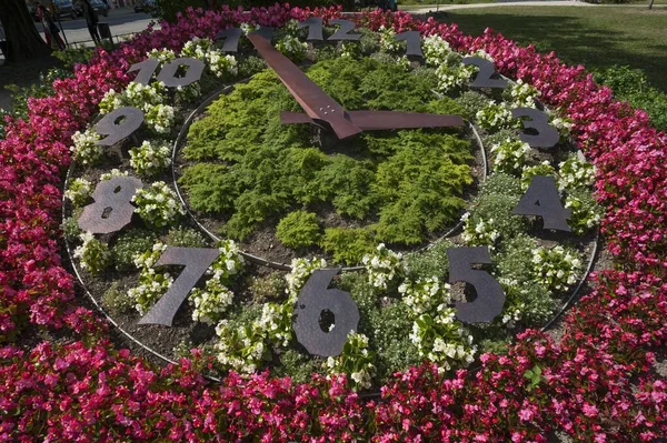 Reloj Flores Demianiplatz Grlitz Alta Lusacia Sajonia Alemania Europa — Foto de Stock