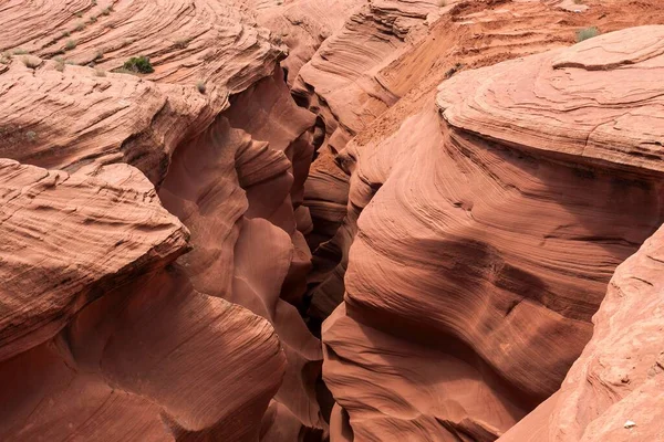 Sandstone Oluşumları Aşağı Antilop Kanyonu Slot Kanyonu Sayfa Arizona Abd — Stok fotoğraf