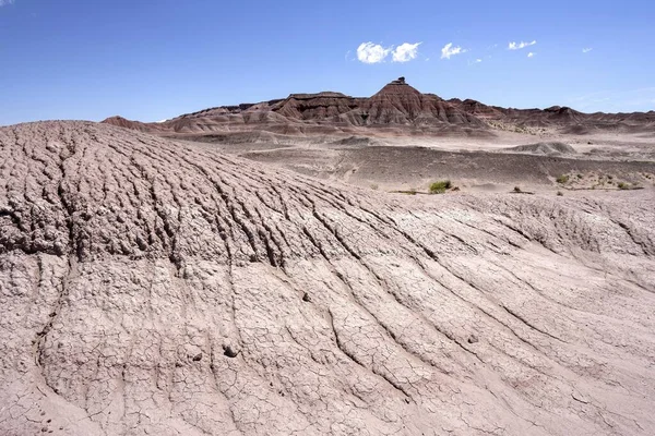 Klippor Kargt Landskap Erosion Highway Vid Cameron Arizona Usa Nordamerika — Stockfoto
