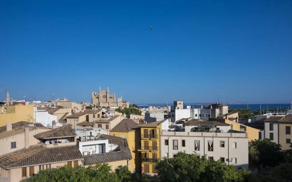 Vistas Palma Mallorca Con Catedral Mallorca Islas Baleares España Europa —  Fotos de Stock