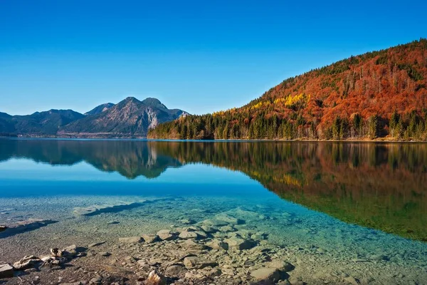 Jesienny Krajobraz Walchensee Herzogstand Jachenau Bawaria Górna Bawaria Niemcy Europa — Zdjęcie stockowe