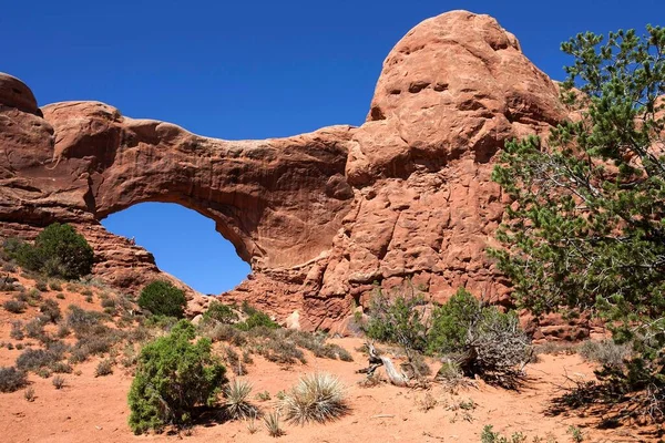 North Window Windows Selection Arches National Park Utah Usa North — Stock Photo, Image