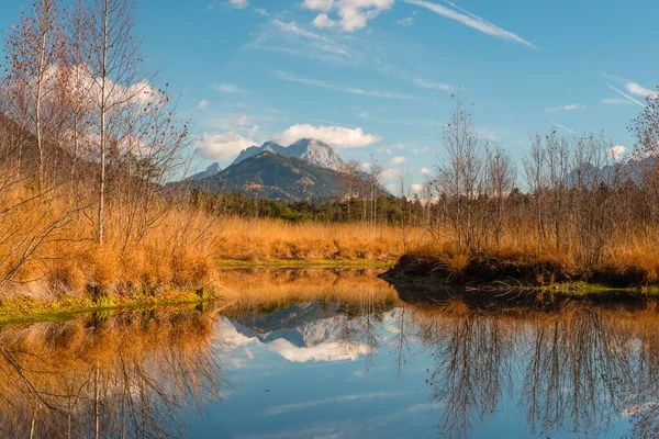 Moorsee Λιμνούλα Λιβελούλας Φθινόπωρο Prgschachen Moor Ardning Styria Αυστρία Ευρώπη — Φωτογραφία Αρχείου