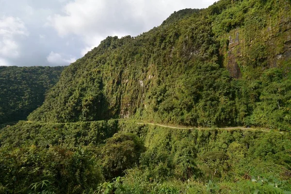 Route Mort Serpentant Travers Forêt Tropicale Subtropicale Camino Muerte Route — Photo