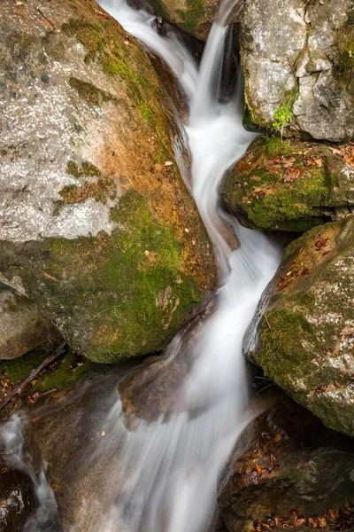 Myra Falls Muggendorf Baja Austria Austria Europa — Foto de Stock