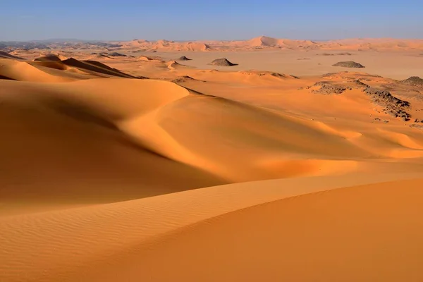 Sanddyner Oued Djerane Tadrart Tassili Ajjer Nationalpark Unescos Världsarv Saharaöknen — Stockfoto