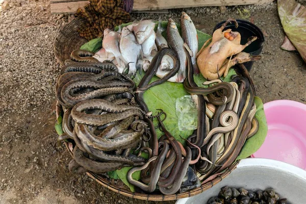 Mand Met Slangen Vis Kip Landweg Phnom Penh Cambodja Azië — Stockfoto