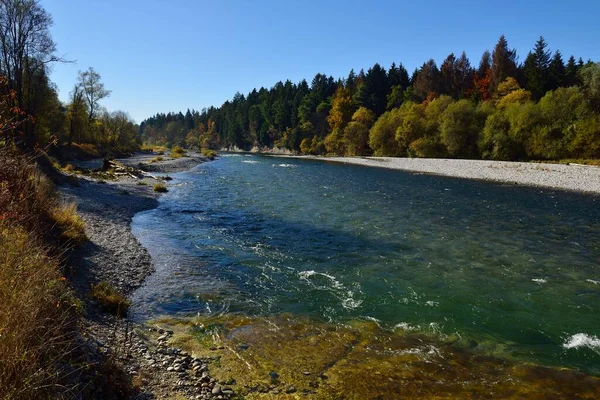 Río Isar Entre Ascholding Geretsried Otoño Baviera Alemania Europa — Foto de Stock