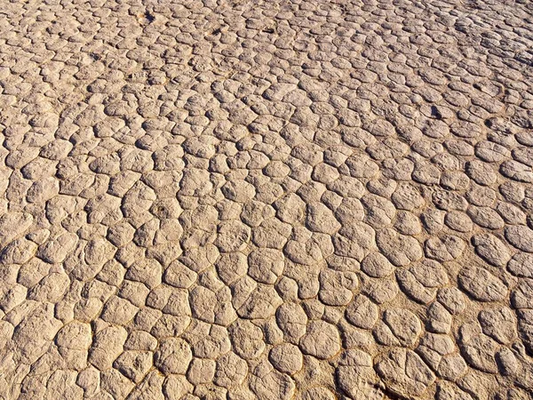 Torkad Jord Saltpanna Dead Vlei Sossusvlei Namiböknen Namib Naukluft Nationalpark — Stockfoto